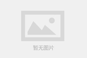 INA F-213584 KL 圆柱滚子轴承